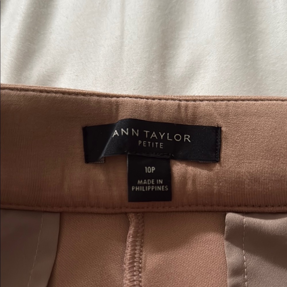 Ann Taylor Tan Dress Pants